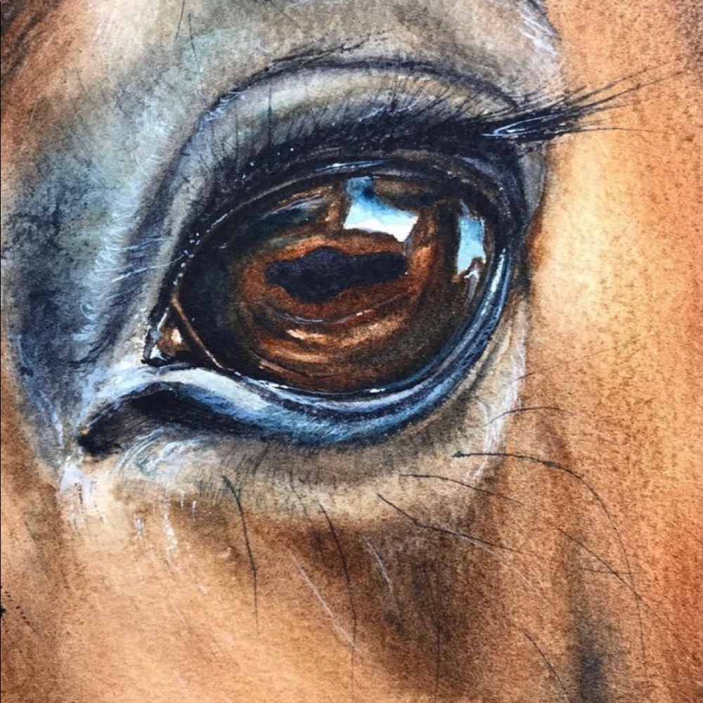 Meet your Posher, Katie